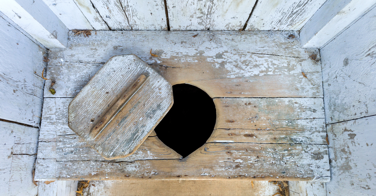 Woman Falls Into Toilet After She Drops Her Cellphone In